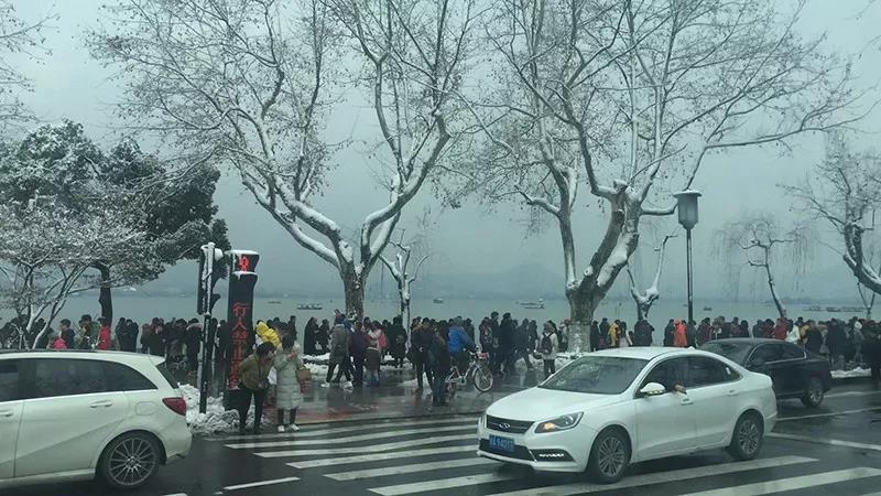 荷兰姓交大比赛录像回放