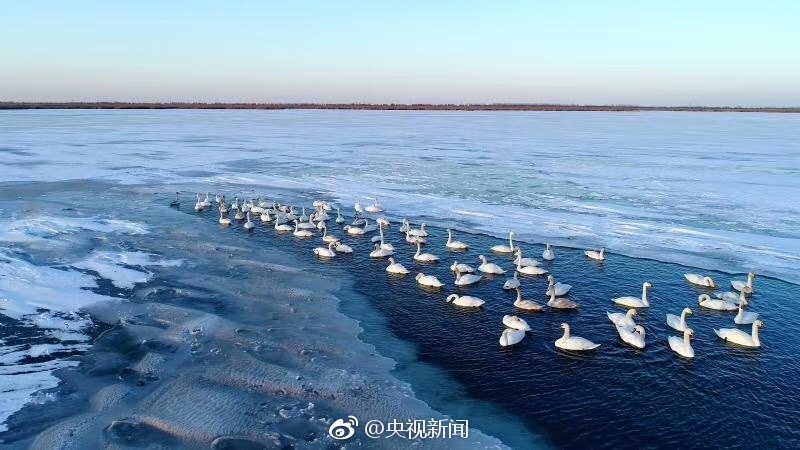 朴惠恩