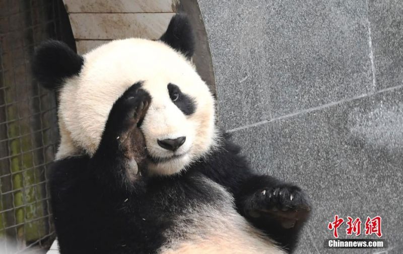 手机播放三级黄色片