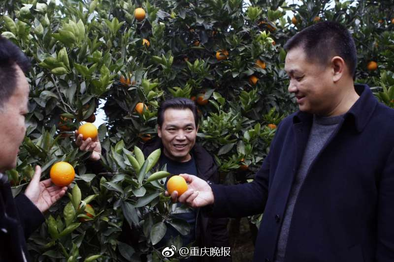 毛片大全