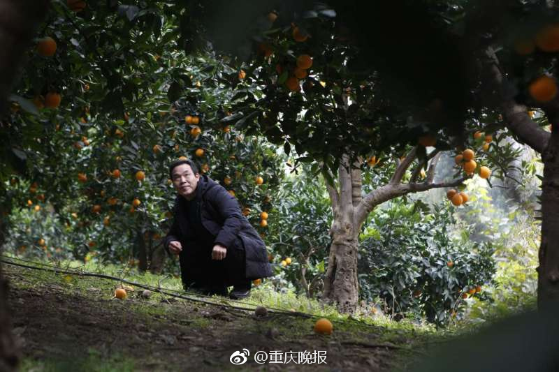 黄色视频在哪里可以免费看