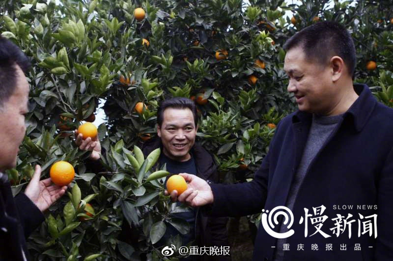 巴西大屁股性猛交