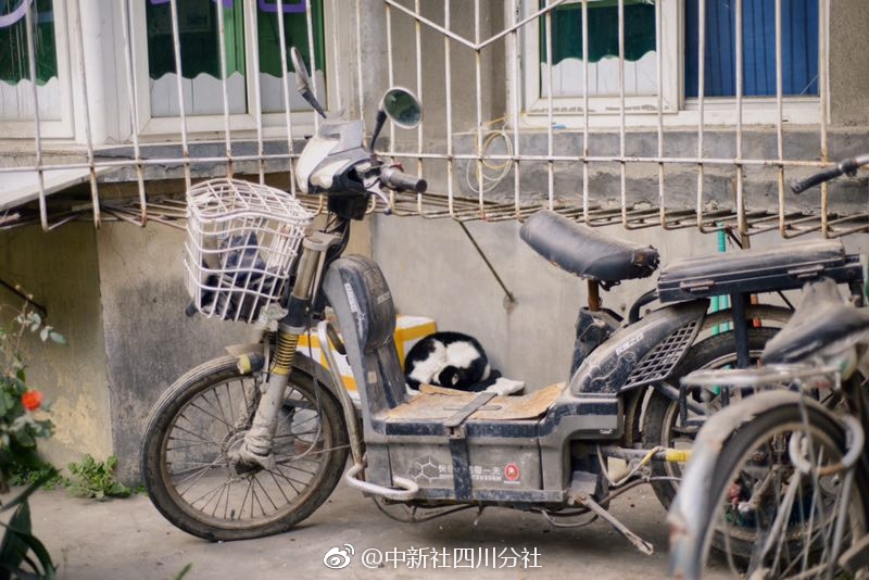 桃園援交