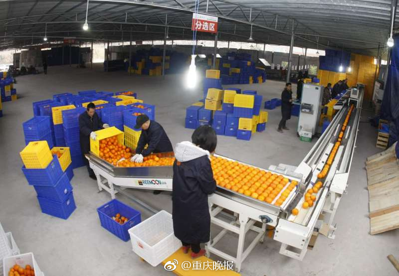 我們都是超能力者