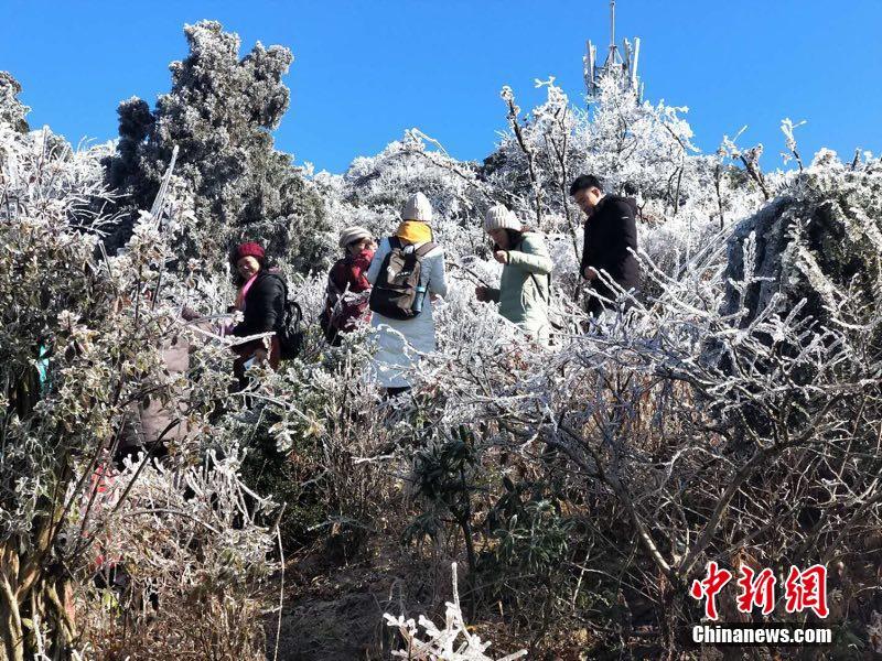 打屁股秘 无内裤的网站