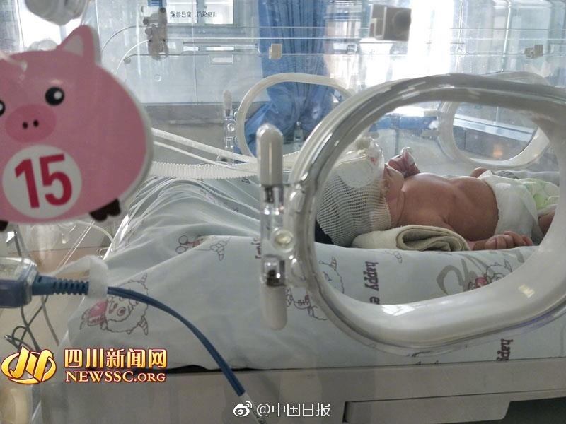 友田真希无码A片贵妇人