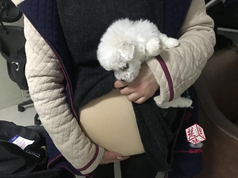 扒开老师裙子 狂揉 难看照片