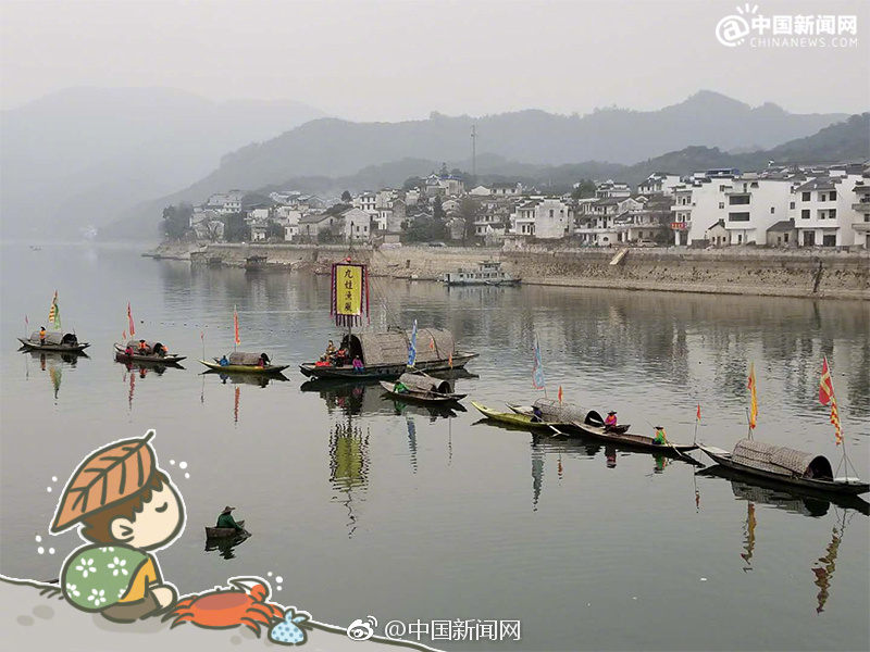 张柏芝两腿之间毛毛图片