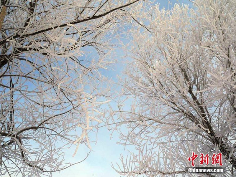 偷下春藥
