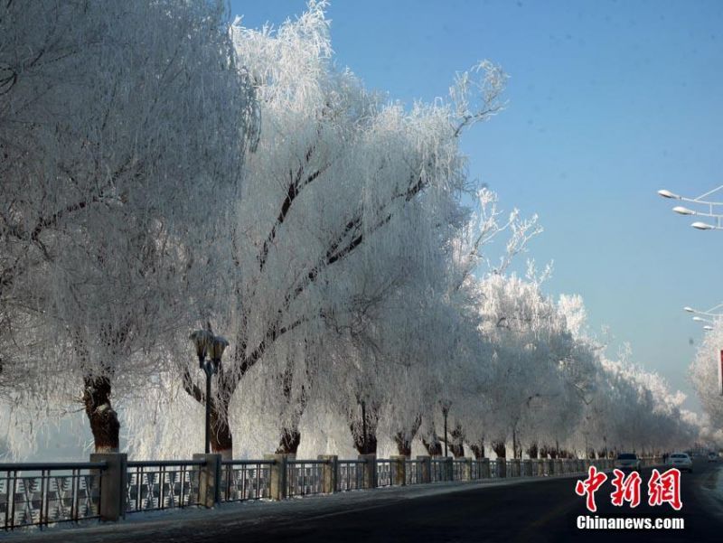 亚洲天堂一区二区