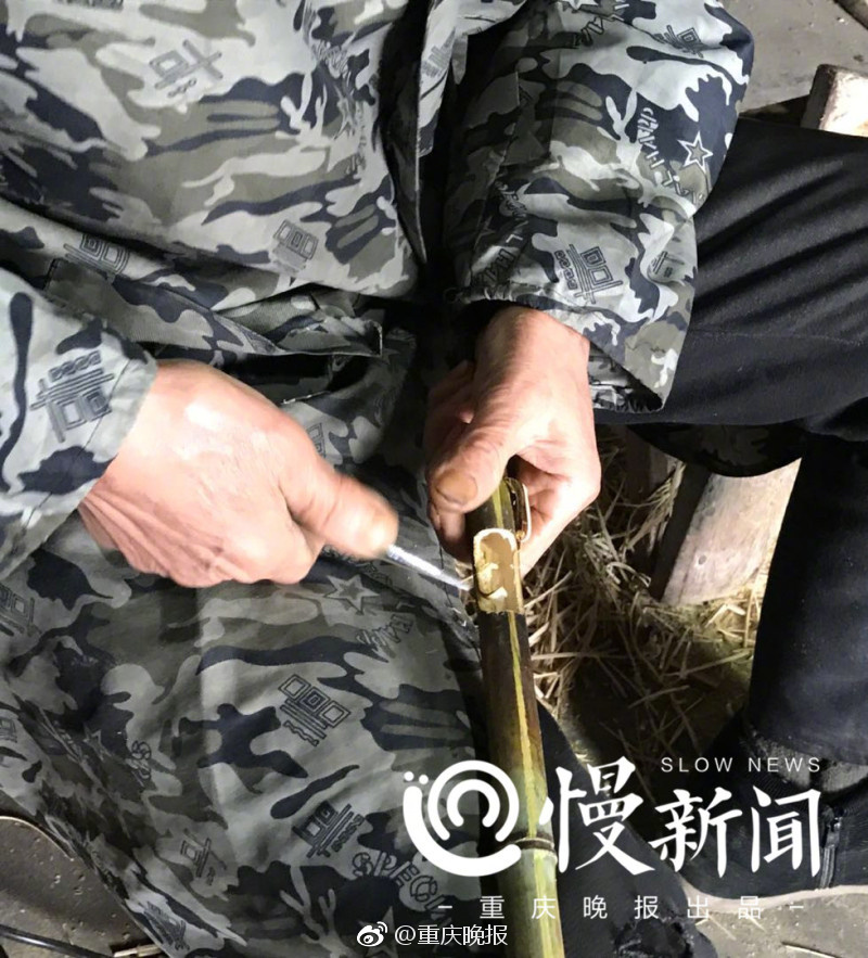 国产群交黄色网站