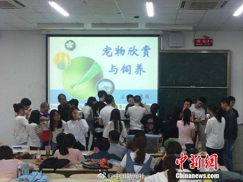 欧美三级乱伦人兽