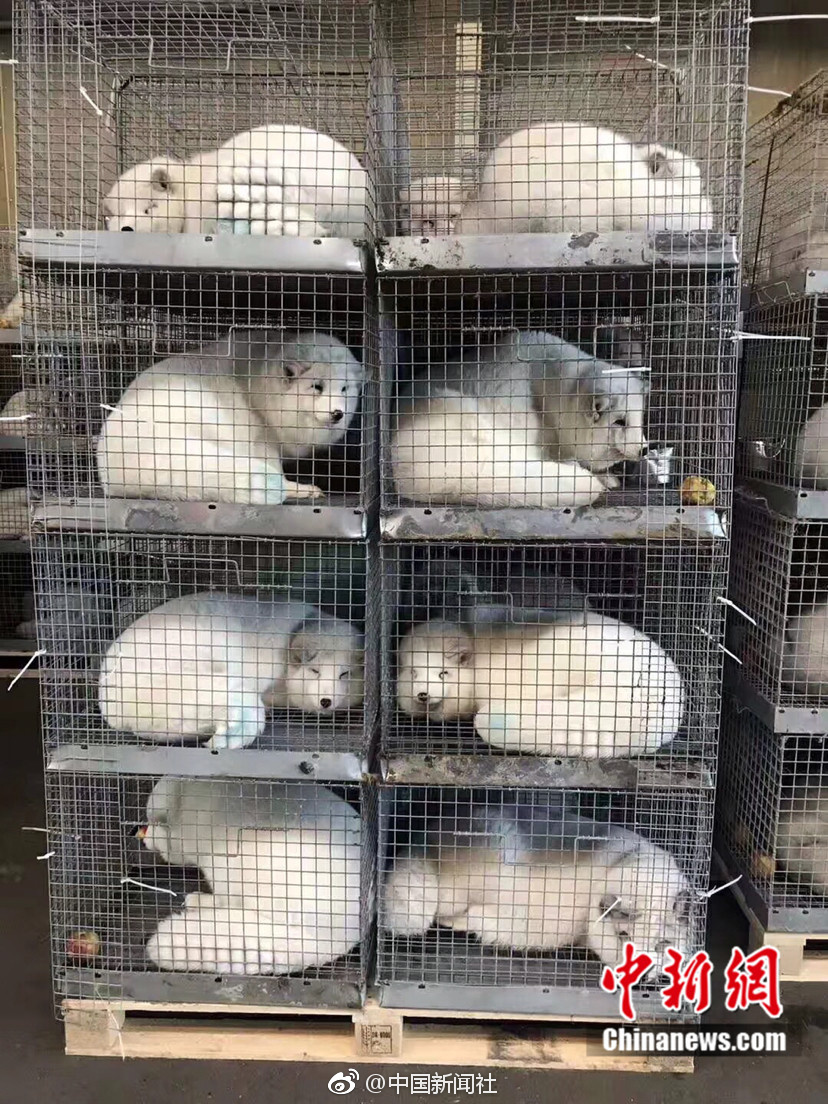 黄色网站哪里有