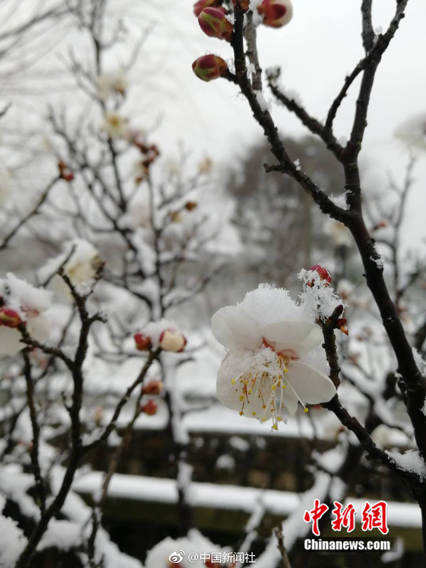 美女老师色情