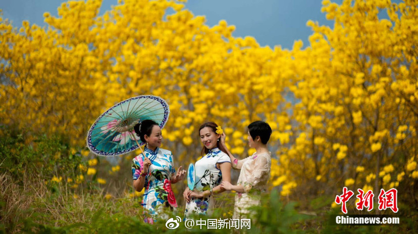 一之濑亚美莉