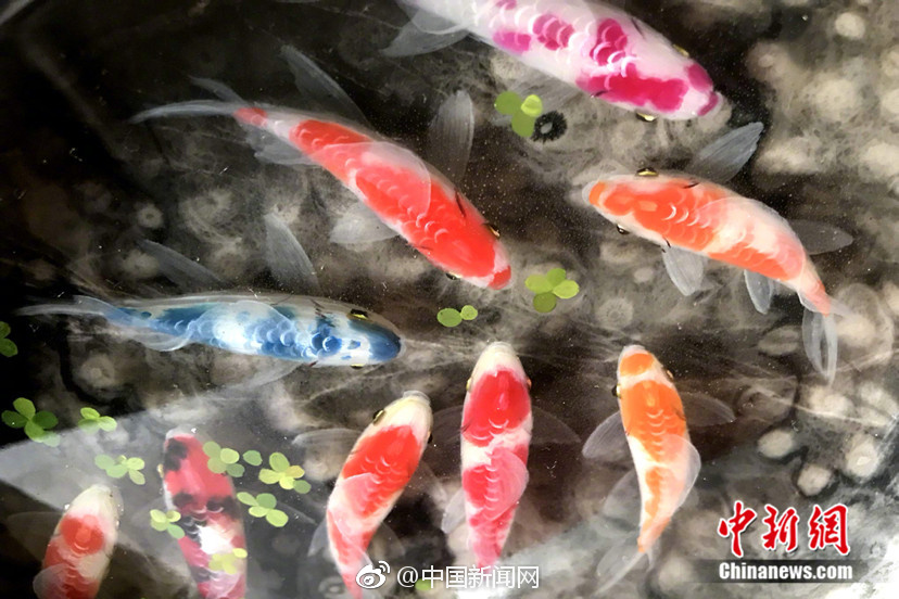 李小璐的奶真大真紧好爽