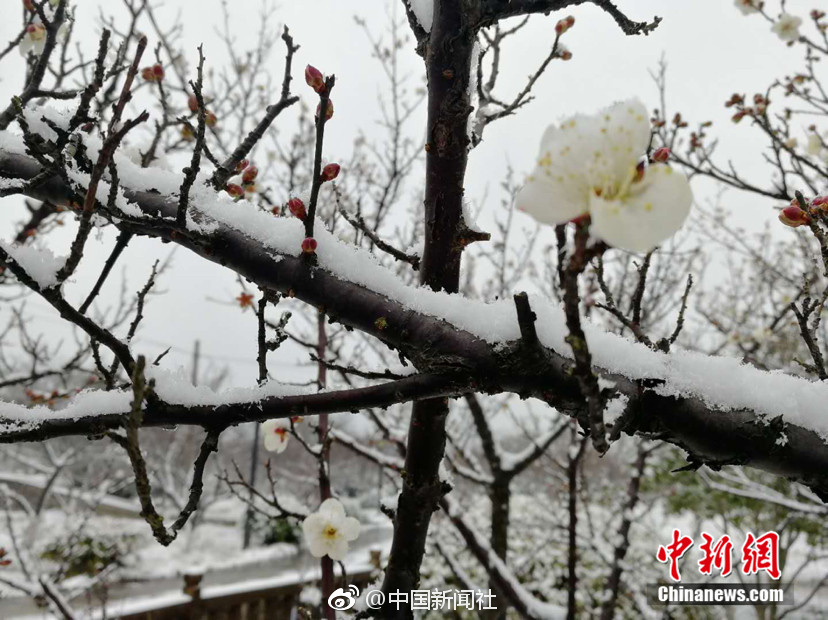欧美一级在线黄片
