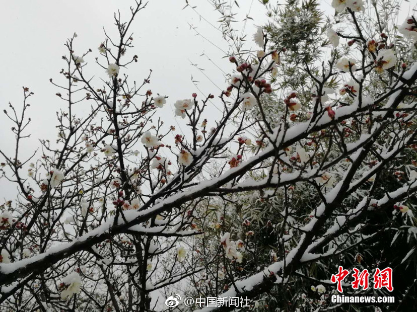 软软蜜桃臀意大利电影