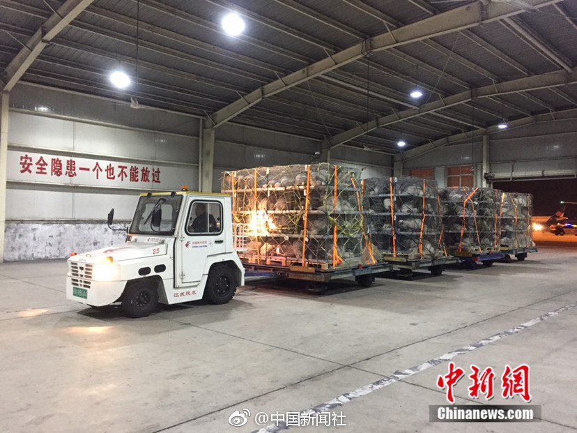 波多野结衣无码在线