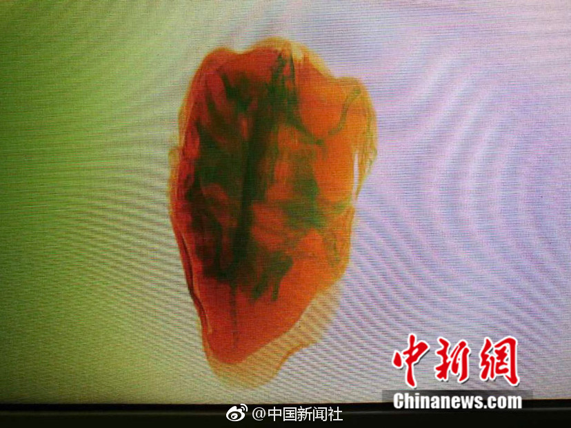 国外 免费 色情 网站