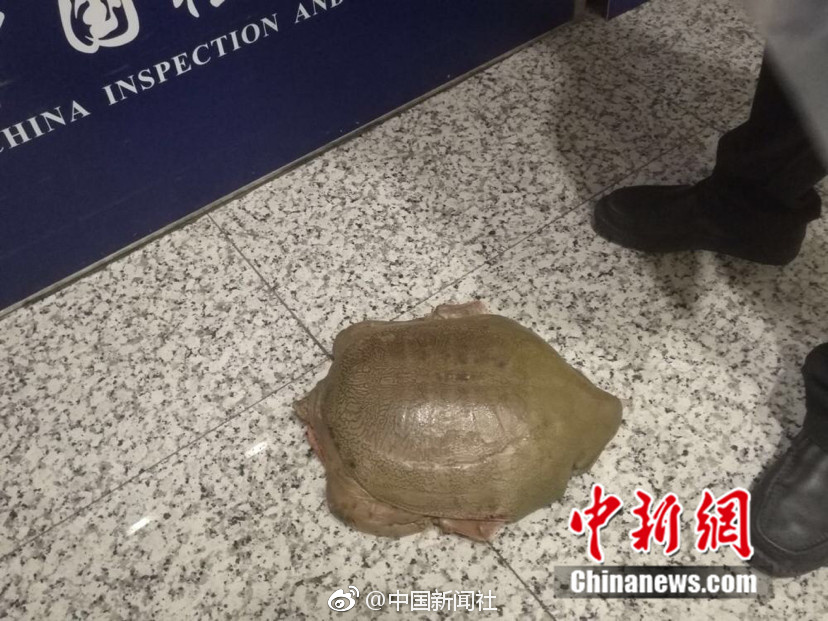 亚洲AV秘 无码相泽南