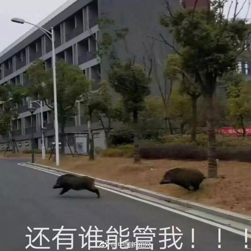 宅男
