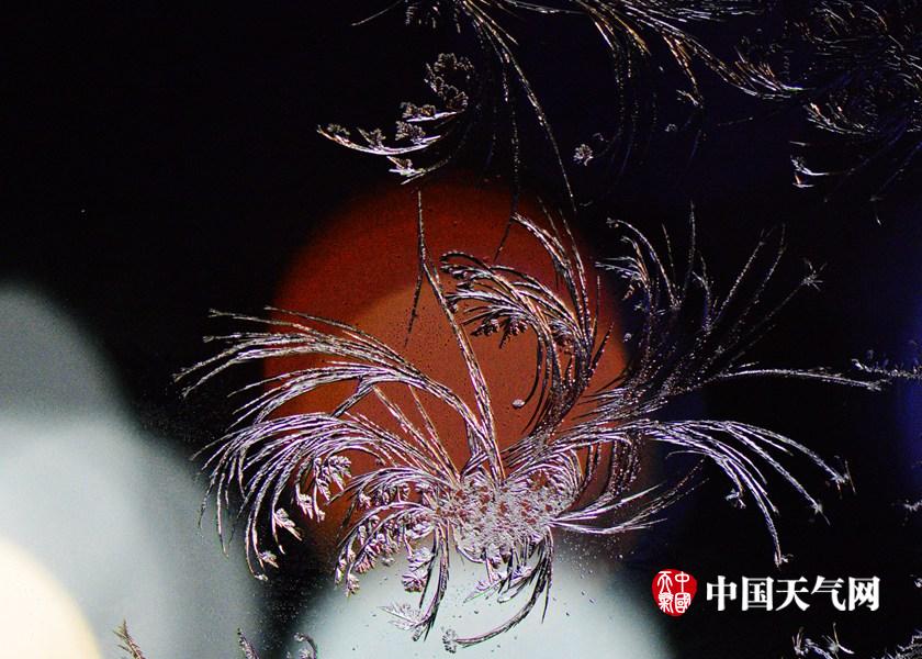 张津瑜16分钟视频劲爆
