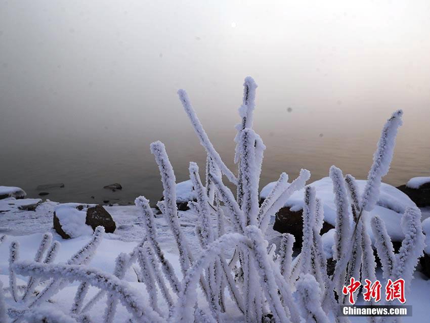 下载成黄色免费网站