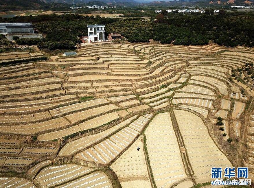 亚洲日韩精品秘 在线观看