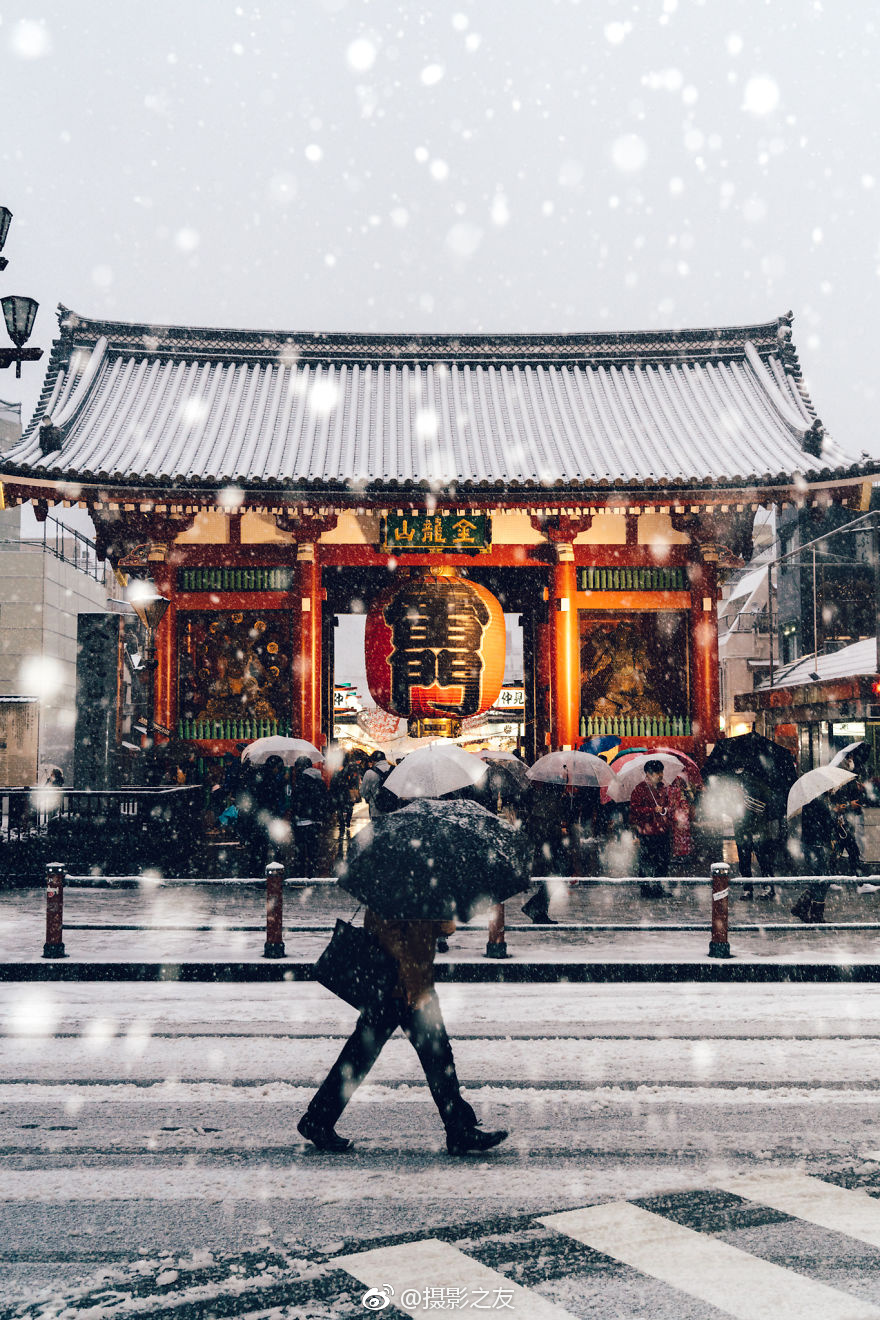 青青草原