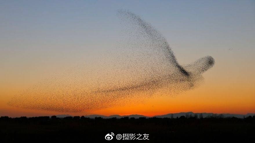 四虎视频国产精品免费