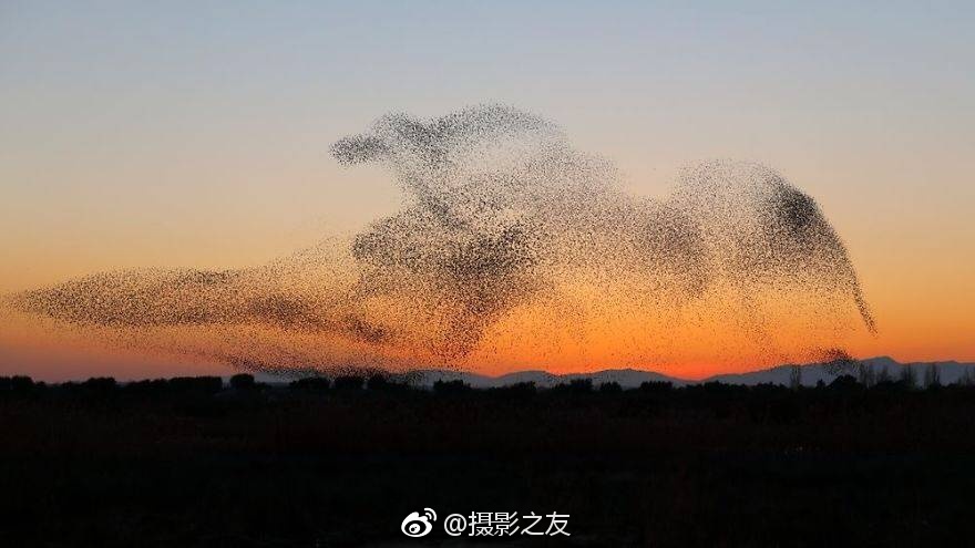 免费A漫禁漫天堂