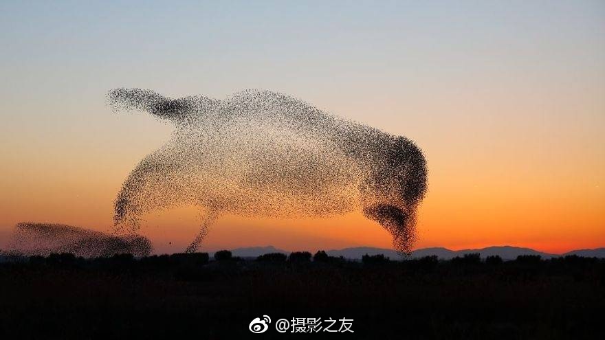 舔阴蒂辣文