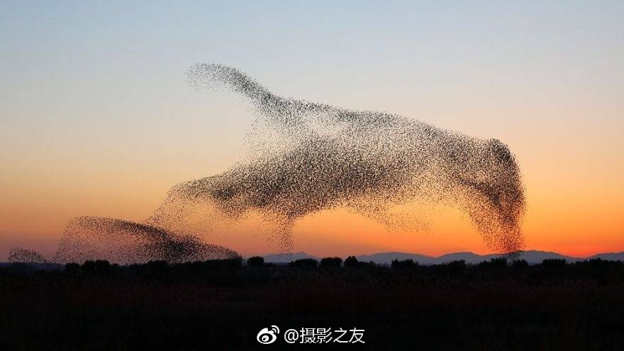香港无码高清毛片