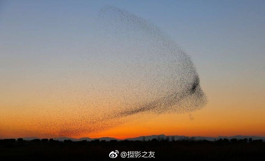 色综合天天