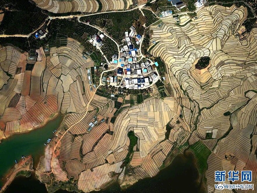 国产精品 久久久精品四季影院