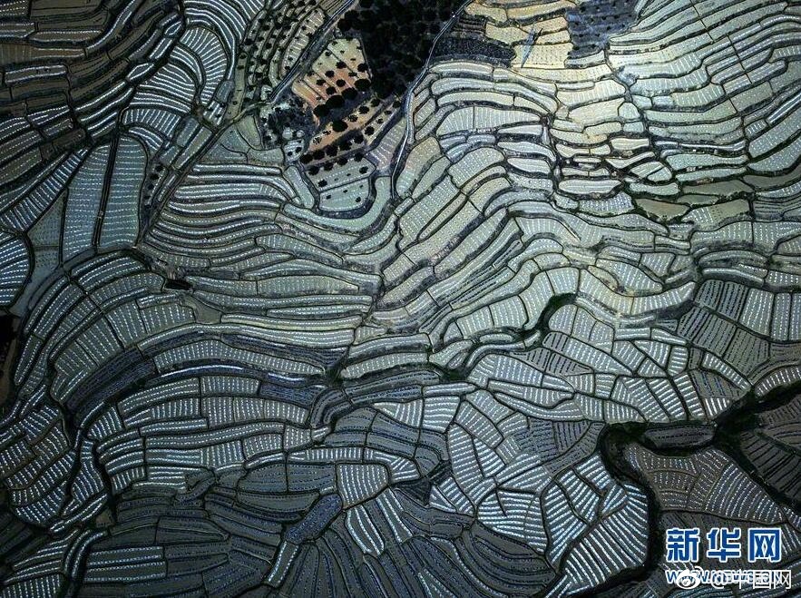 完美身材