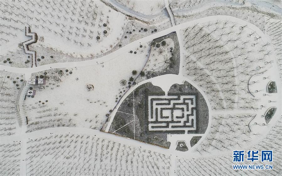 成人 在线 免费 电影