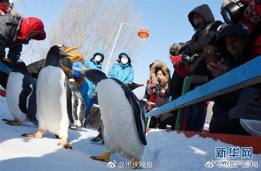 黄色电影直播