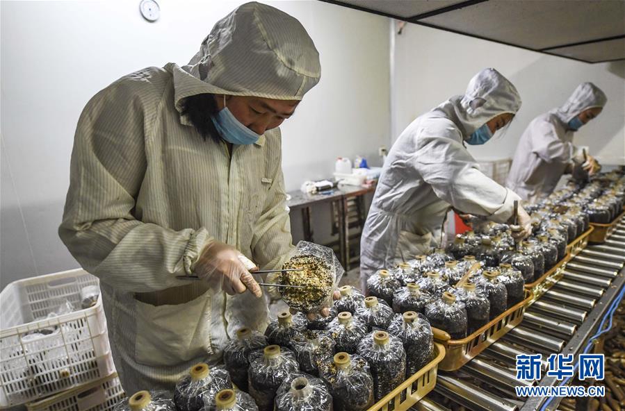 欧美性虐三级