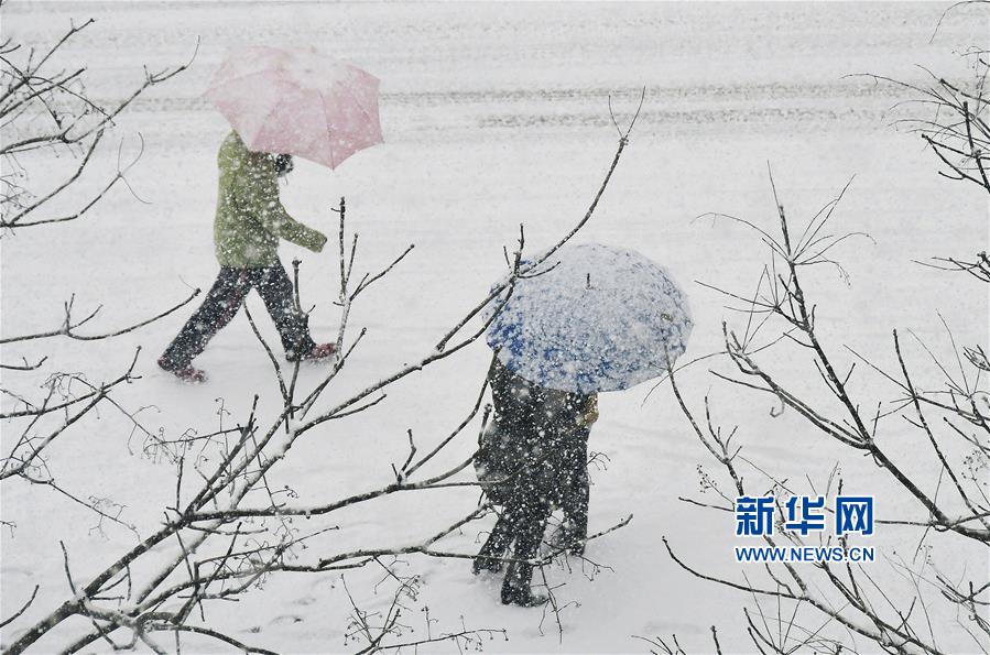 黄色偷拍女厕美女撒尿秘?视频