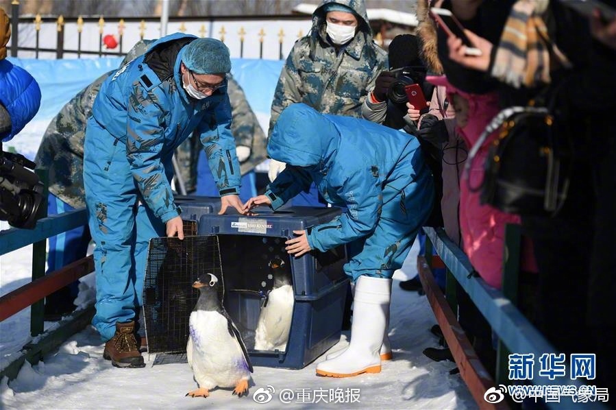 榴莲视频污污污