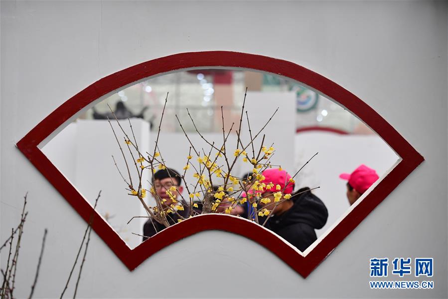 黄色网站在哪里找