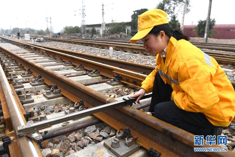 东京热免费下载