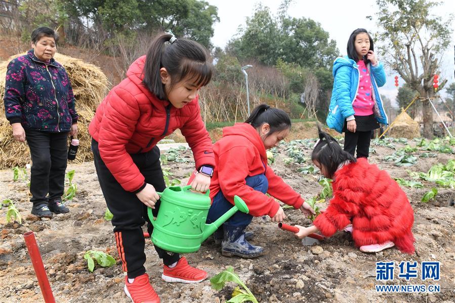 五十路熟女色情片
