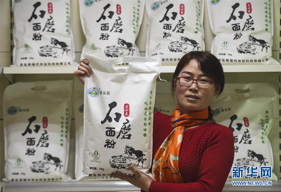 绅士RPG游戏安卓汉化像素风格