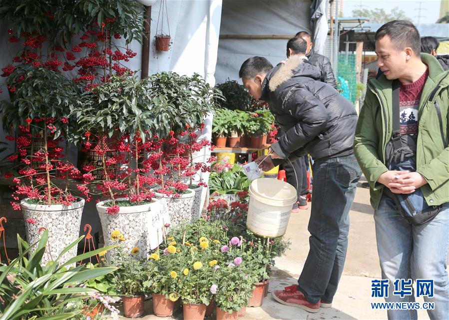 中国台湾黄色网站