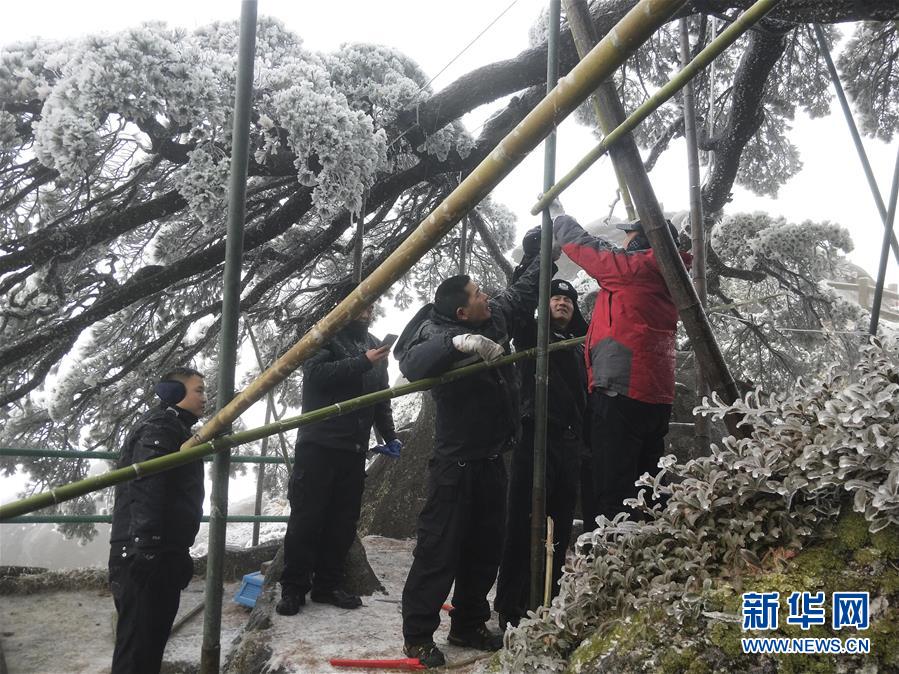 黄动漫