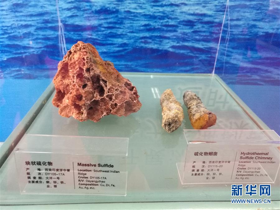 麻豆文化传媒app免费的