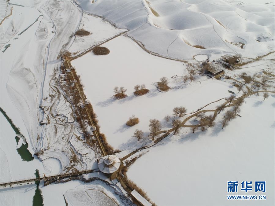 何麥枒